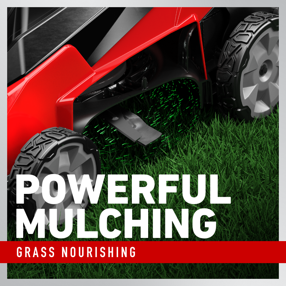 Toro Stripe 60-volt , ( 1 ) 4 Ah 21-in Push Battery Walk Mower