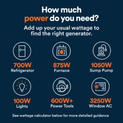 Generac 49 State 8250 / 6700 -Watt Dual fuel Portable Generator