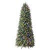 Tree Classics by Balsam Hill 9-ft Classic Fraser Fir Pre-lit Artificial Christmas Tree with Color Changing LED Lights