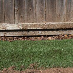 DURAGRASS Artificial grass Hybrid Turf Patch 25-ft x 3-ft Artificial Grass
