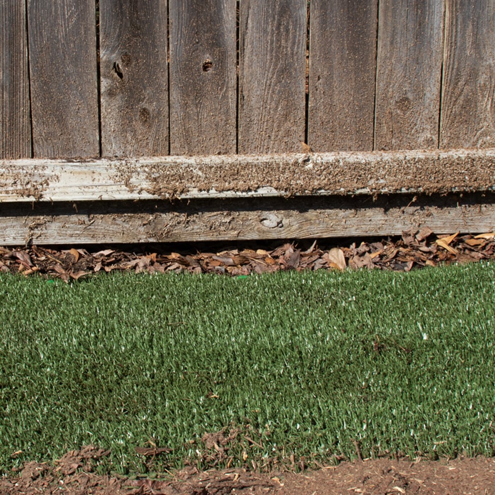 DURAGRASS Artificial grass Hybrid Turf Patch 25-ft x 3-ft Artificial Grass