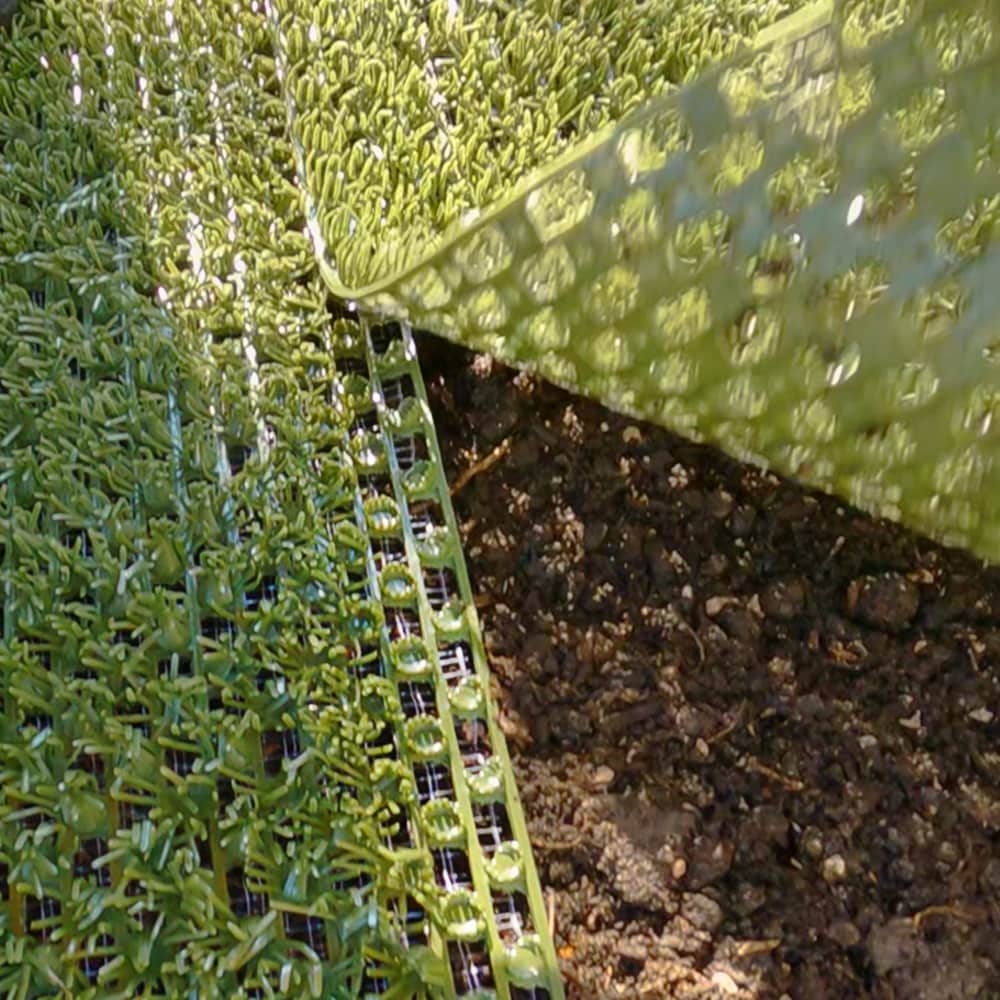 DURAGRASS Artificial grass Hybrid Turf Patch 25-ft x 3-ft Artificial Grass