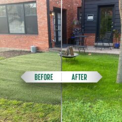 DURAGRASS Artificial grass Hybrid Turf Patch 25-ft x 3-ft Artificial Grass