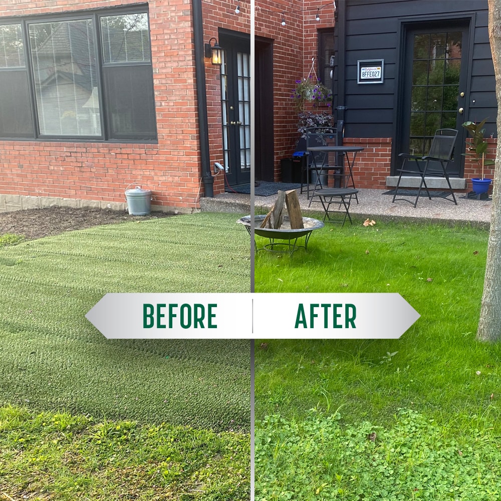 DURAGRASS Artificial grass Hybrid Turf Patch 25-ft x 3-ft Artificial Grass