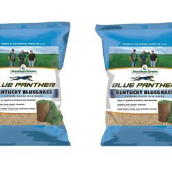 Jonathan Green Blue Panther Kentucky Bluegrass Supreme Seed Blend - 25lb Pack of 2