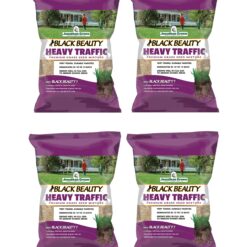 Jonathan Green Black Beauty Heavy Traffic Premium Grass Seed Mixture - 25lb Pack of 4 for Durable Lawns