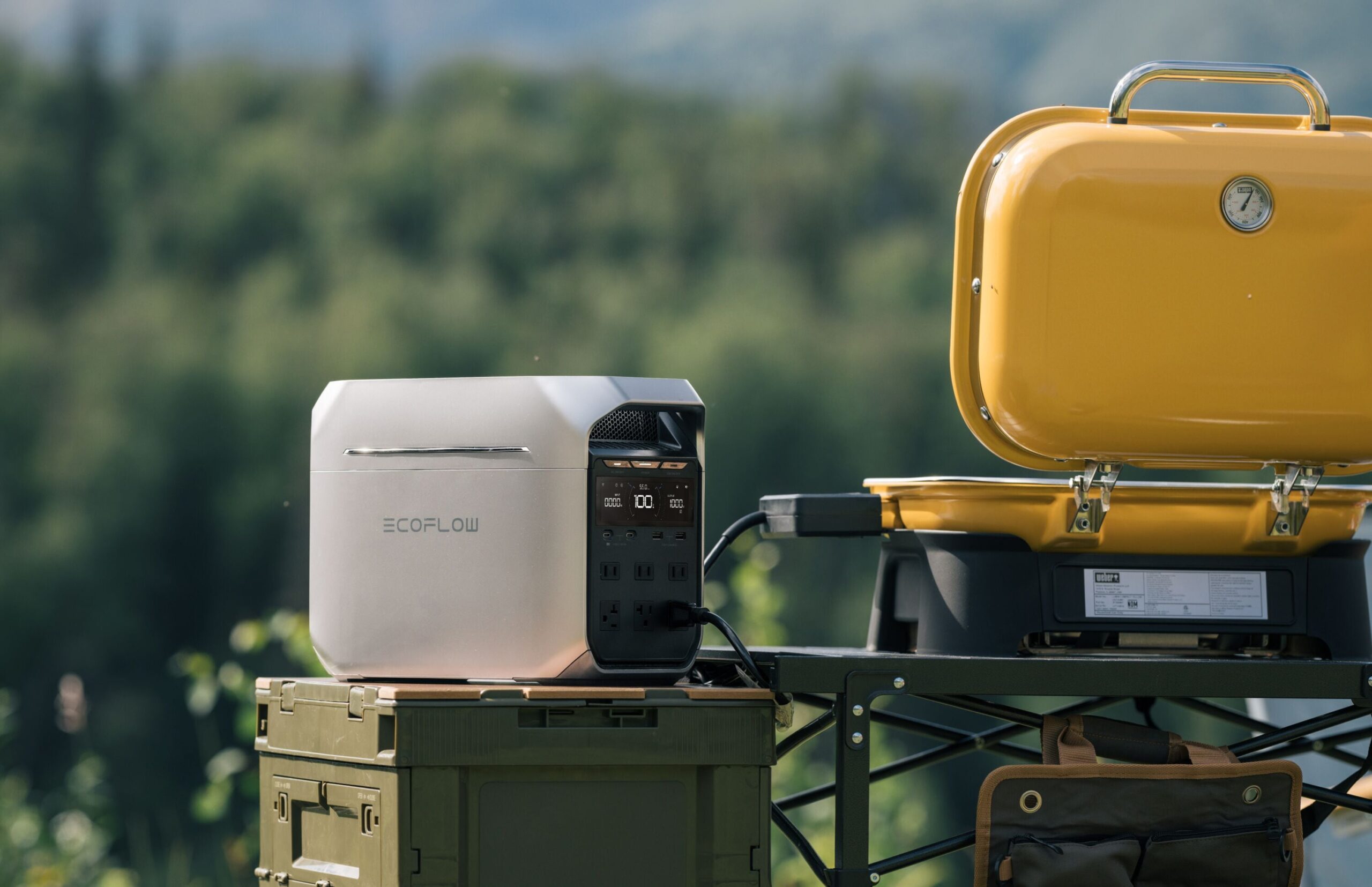 EcoFlow 1800 -Watts Portable Power Station 2 Solar Panels Included