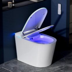 Vipbear Smart Toilet with Bidet Built in, Bidet Toilet with Heated Seat and Night Light