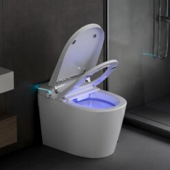 Vipbear Smart Toilet with Bidet Built in, Bidet Toilet with Heated Seat and Night Light