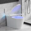 Vipbear Smart Toilet with Bidet Built in, Elongated Toilet with Heated Seat, Dryer, Auto-Lift Lid, Soft Close