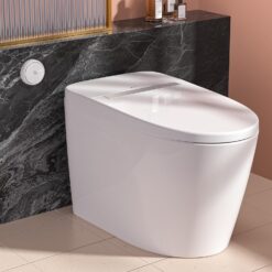 LEIVI Smart Toilet with Built-in Heated Seat, Tankless Toilet with Auto Flushing, Adjustable Seat Temp, Elongated