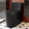 Black One Piece Toilet for Bathroom, Avg. 1.28 GPF Elongated Comfortable Seat Height Powerful Dual Flush Toilet, 12" Rough-In Skirted Toilet with Quick Release & Soft Close UF Seat, MAP 1000G