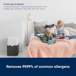 BLUEAIR Air Purifier Large Room for Home Bedroom Living Room, Washable Pre Filter, HEPASilent, Blue 211+