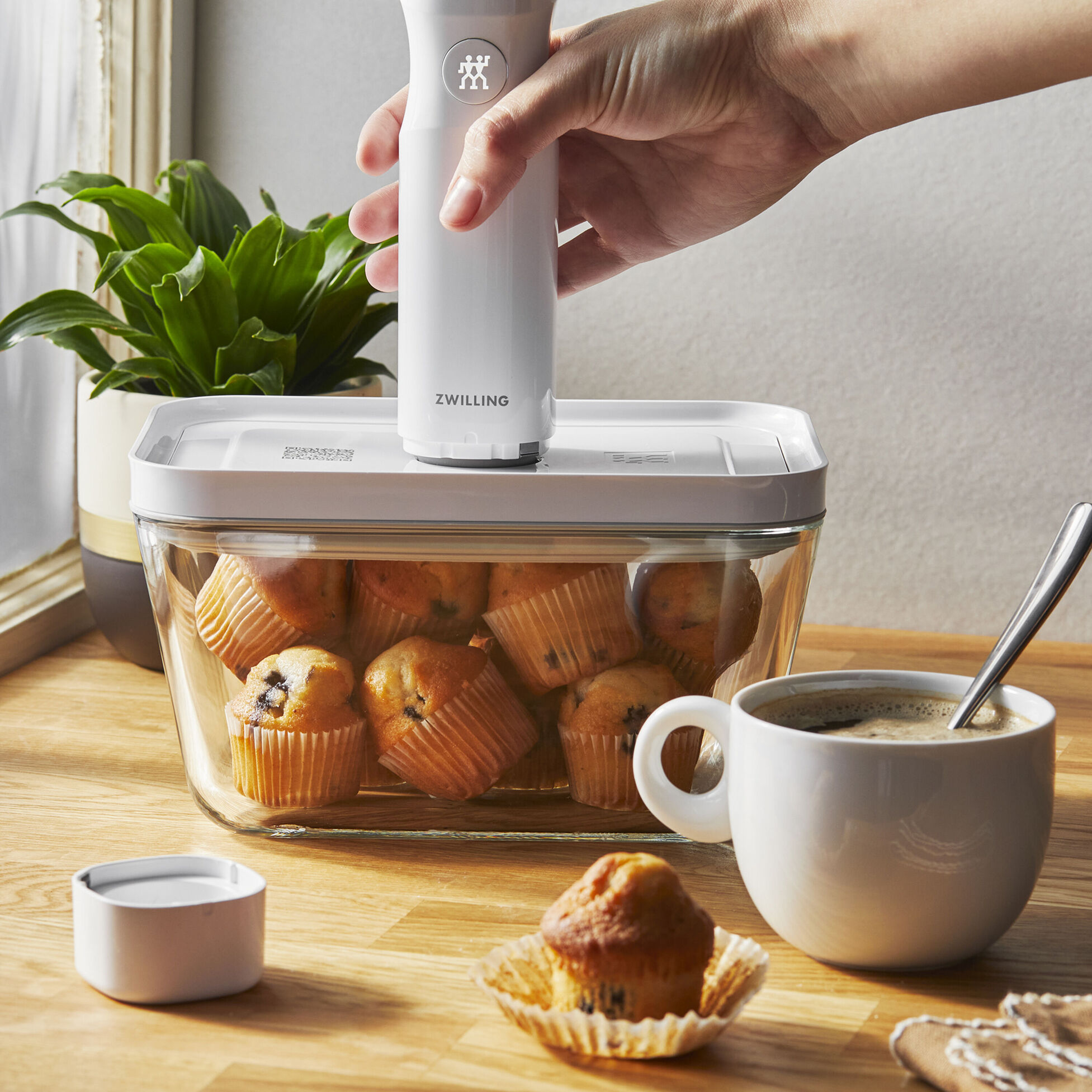 ZWILLING Fresh & Save glass Vacuum Starter Set, 32-pc