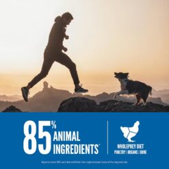 ORIJEN Grain Free High Protein Dry Dog Food Original Recipe 13lb Bag