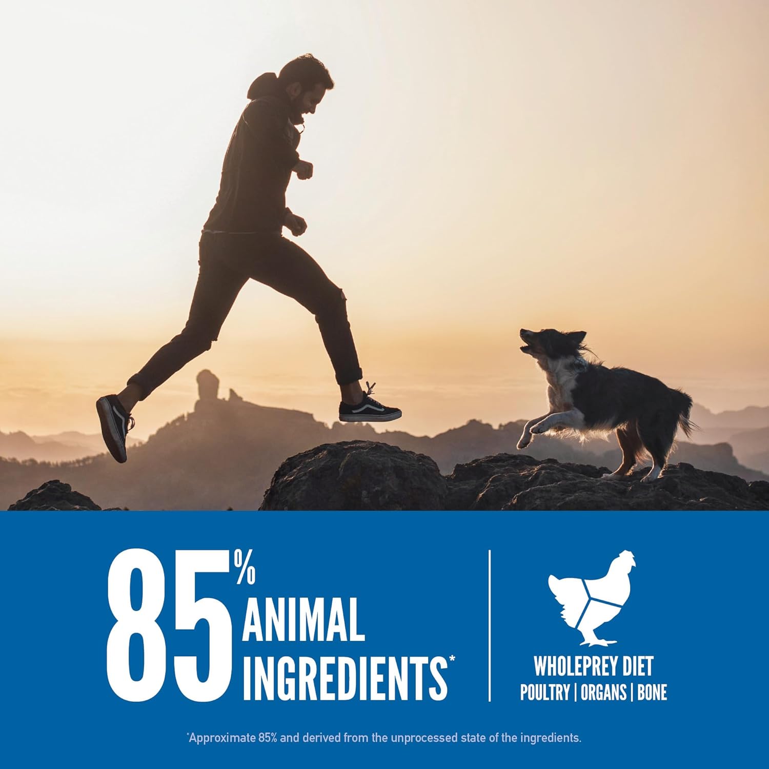 ORIJEN Grain Free High Protein Dry Dog Food Original Recipe 13lb Bag