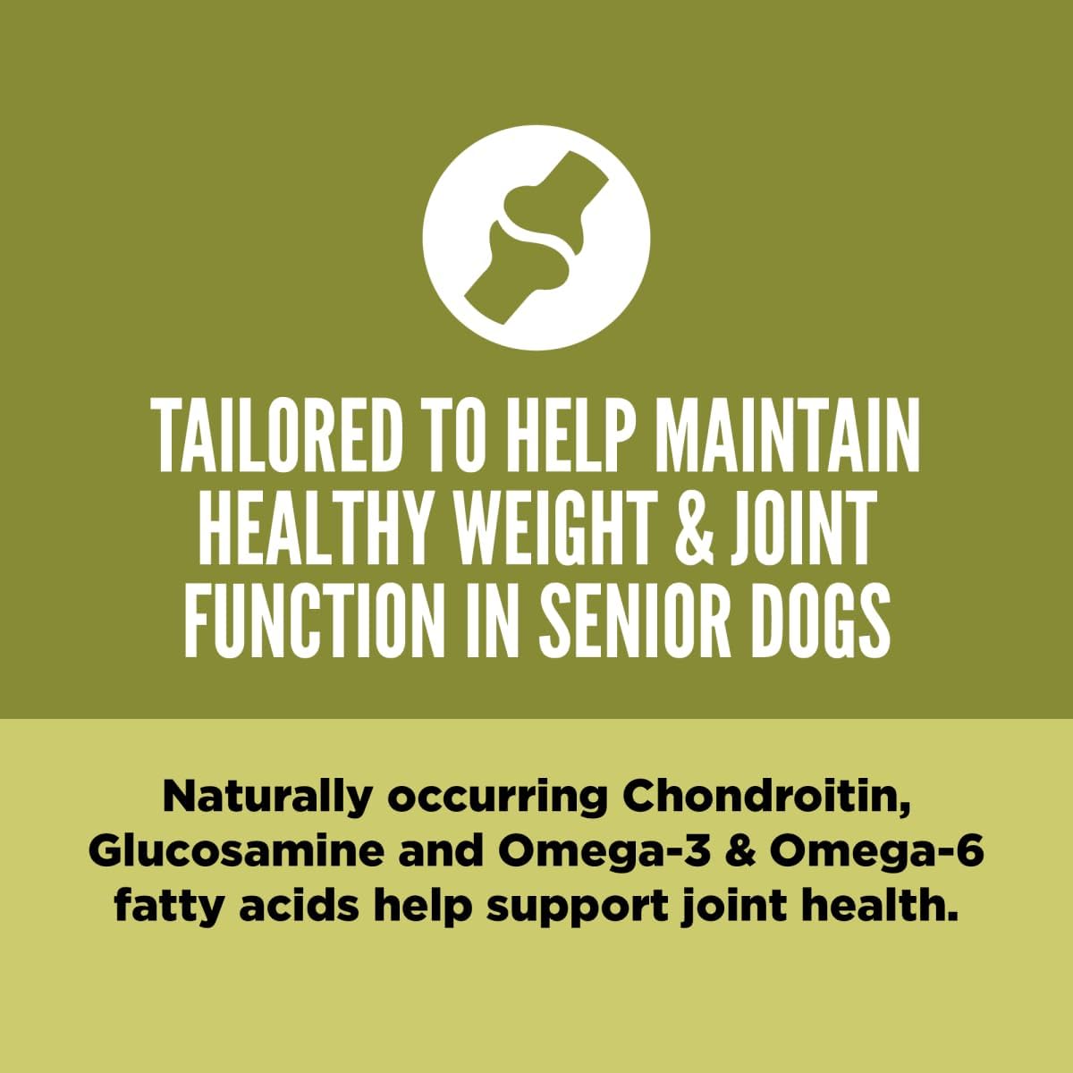 ORIJEN Grain Free High Protein Dry Dog Food Senior Recipe 23.5lb Bag