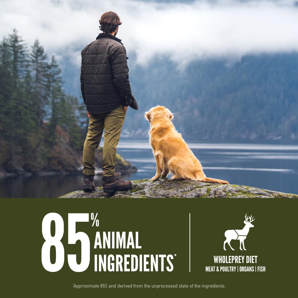 ORIJEN Grain Free Poultry Free High Protein Dry Dog Food Tundra Recipe 23.5lb Bag