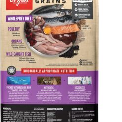 ORIJEN Amazing Grains High Protein Dry Dog Food Puppy Large Breed Recipe 22.5lb Bag