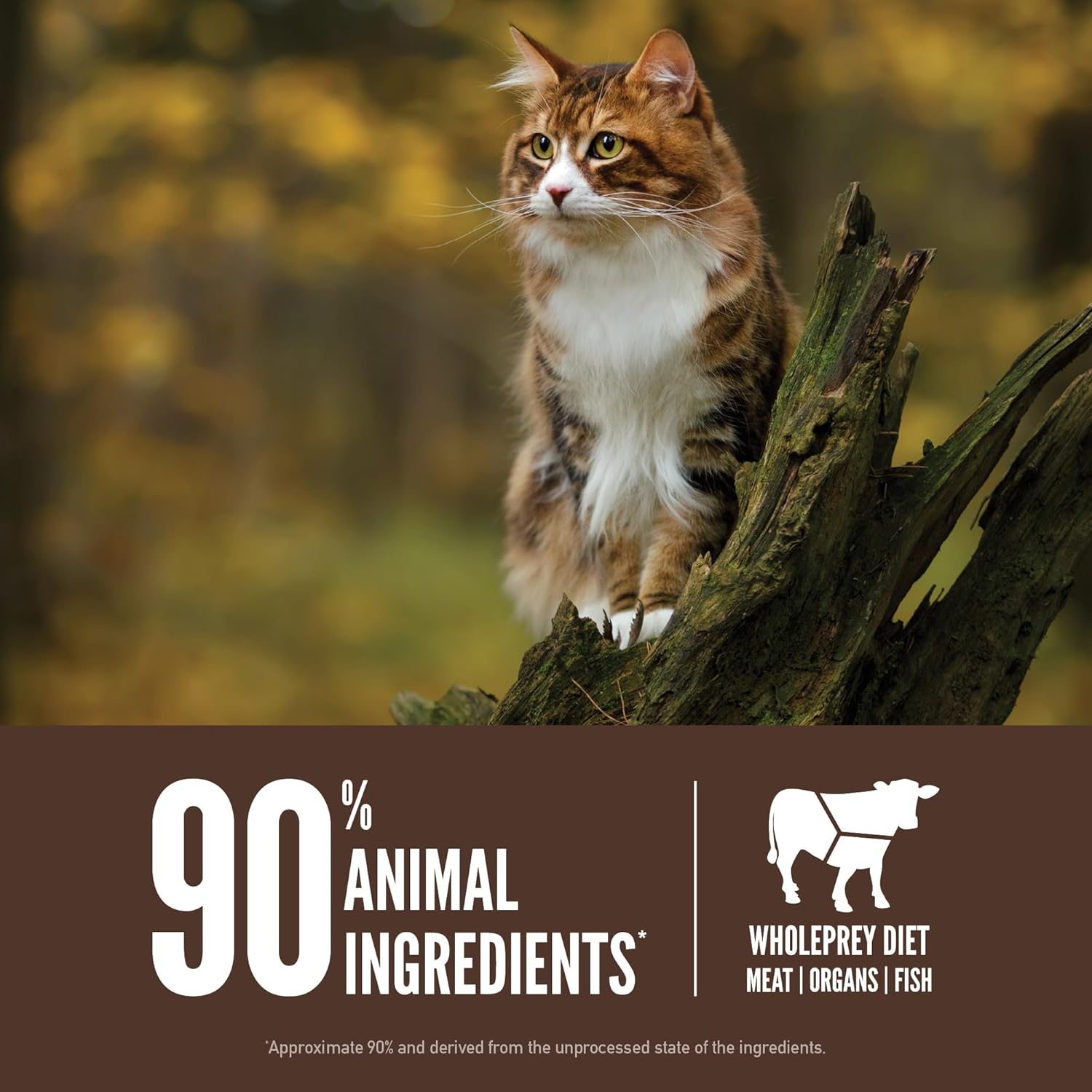ORIJEN Grain Free High Protein Premium Dry Cat Food Regional Red Recipe 12lb Bag