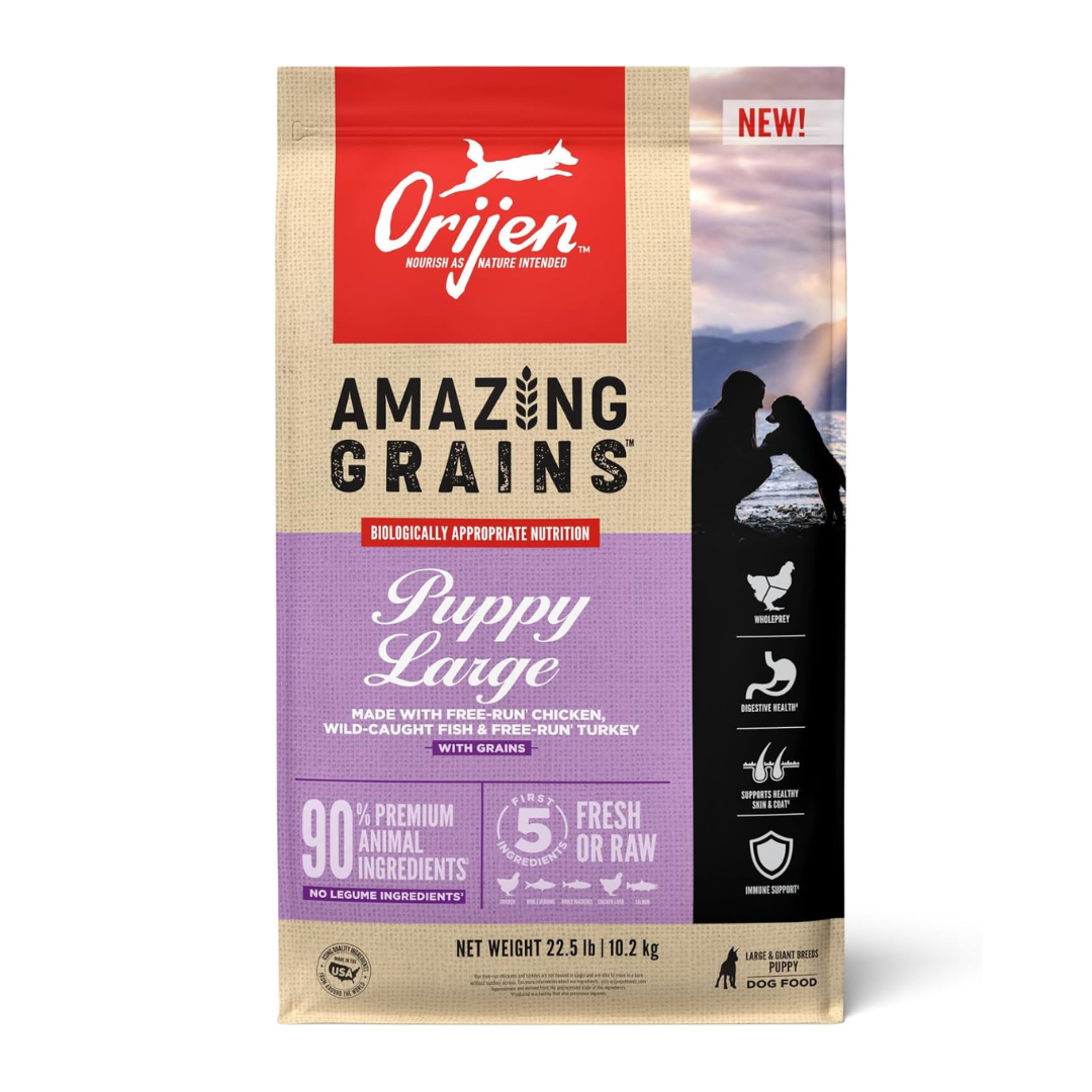 ORIJEN Amazing Grains High Protein Dry Dog Food Puppy Large Breed Recipe 22.5lb Bag