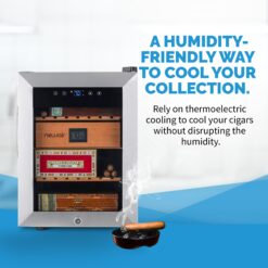 NewAir 18.50-in x 13.60-in x 19.30-in Stainless Steel Freestanding Table humidor with Digital Hygrometer (Holds 250 Cigars)