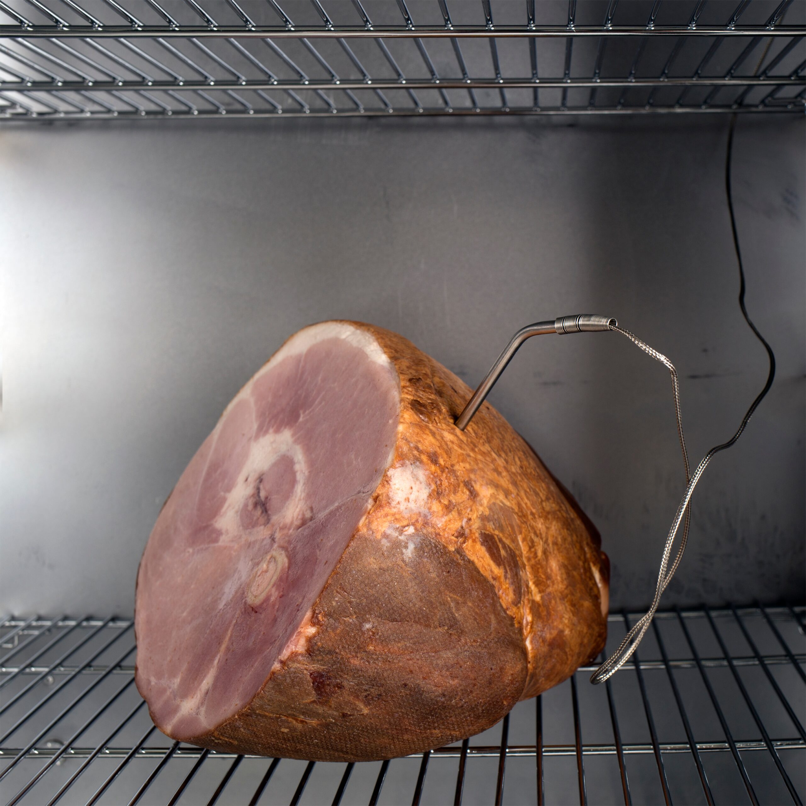 Dyna-Glo 951-Sq. in Silver Smart Electric Smoker