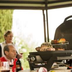 NAPOLEON TravelQ PRO 285 285-Sq. in Black Portable Natural gas Grill