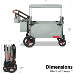 Radio Flyer Atlas Stroll ’N Wagon, Sage Green, for Ages 1+, 3-in-1 Push or Pull Versatility, One-Hand Fold, UV Canopy, 5-Point Harnesses, Storage Capabilities, Rubber Wheels, Stroller Wagon for Kids