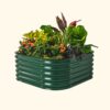 Vego Garden 17-cu ft 42-in W x 42-in L x 17-in H British Green Galvanized Metal Raised Garden Bed