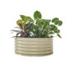 Vego Garden 42-in W x 42-in L x 17-in H Pearl White Metal Raised Garden Bed