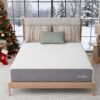 Novilla 12-in Firm Queen Memory foam Mattress in a Box