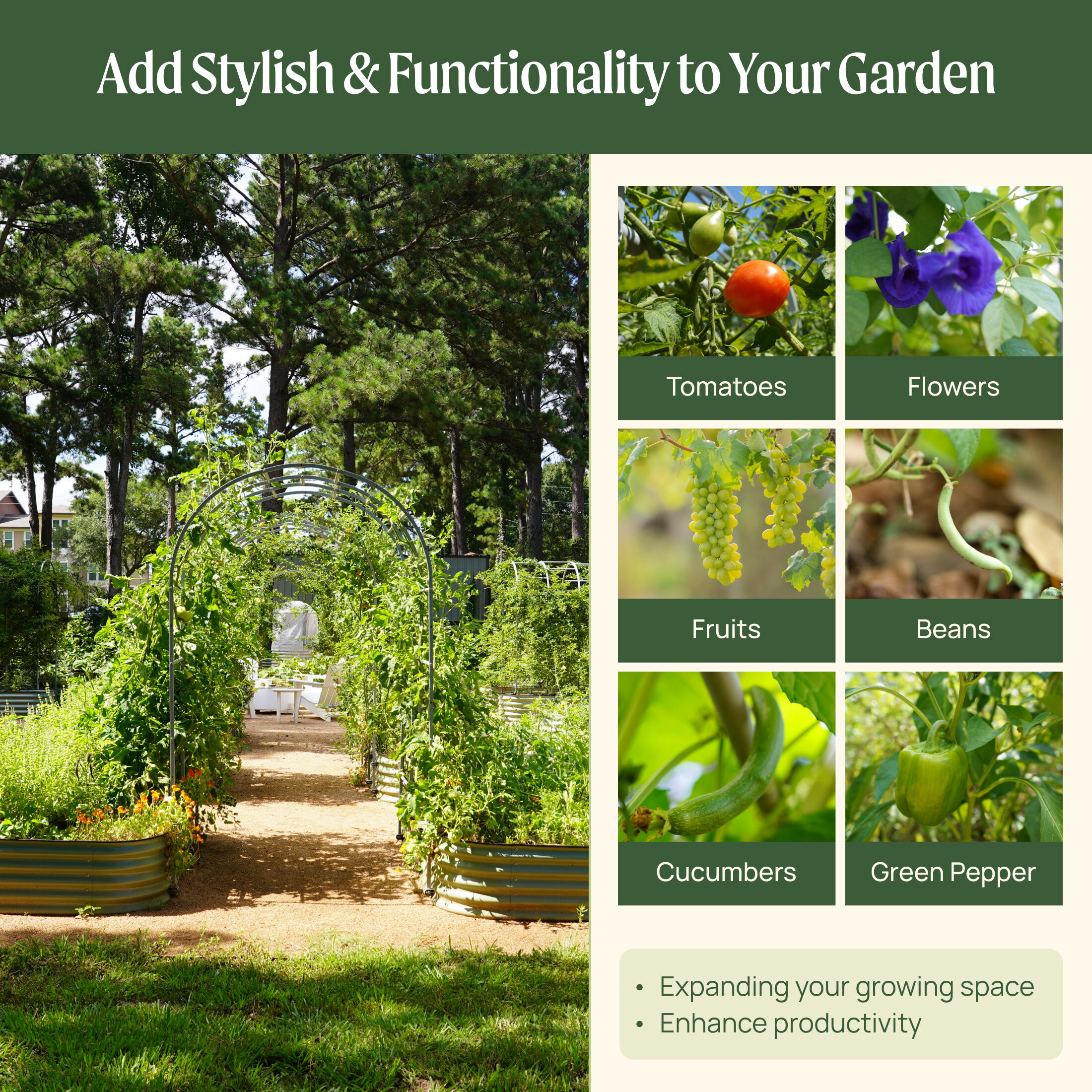 Vego Garden VAT 54-in W x 90-in H Painted Finish Steel Garden Trellis For Climbing Plants For Cucumbers For Roses For Tomatoes