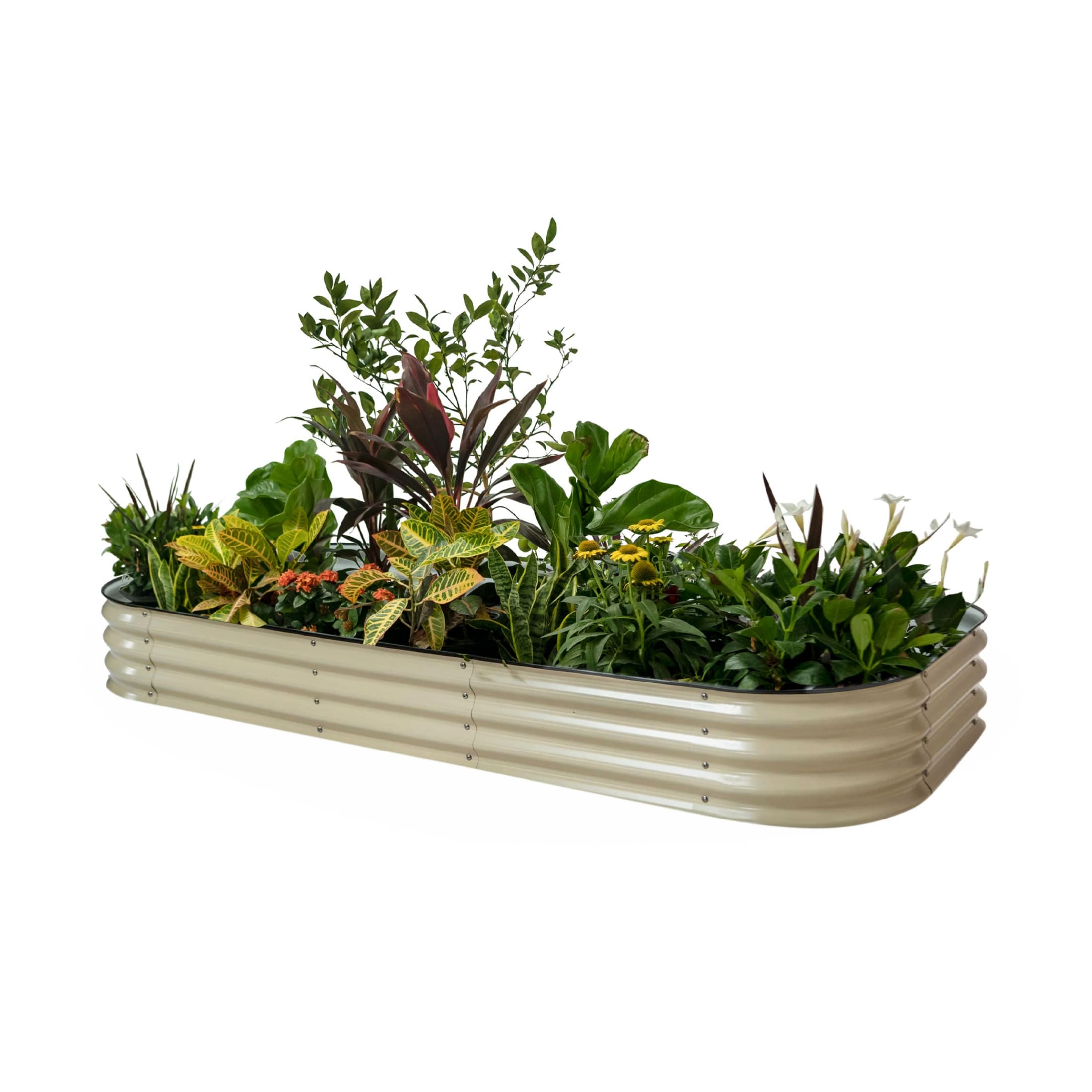 Vego Garden 29-cu ft 48-in W x 96-in L x 11-in H Pearl White Galvanized Metal Raised Garden Bed
