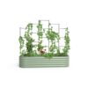 Vego Garden VWT 42-in W x 71-in H Powder Coated Steel Garden Trellis For Climbing Plants For Cucumbers For Roses For Tomatoes