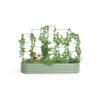 Vego Garden VWT 48-in W x 71-in H Powder Coated Steel Garden Trellis For Climbing Plants For Cucumbers For Roses For Tomatoes