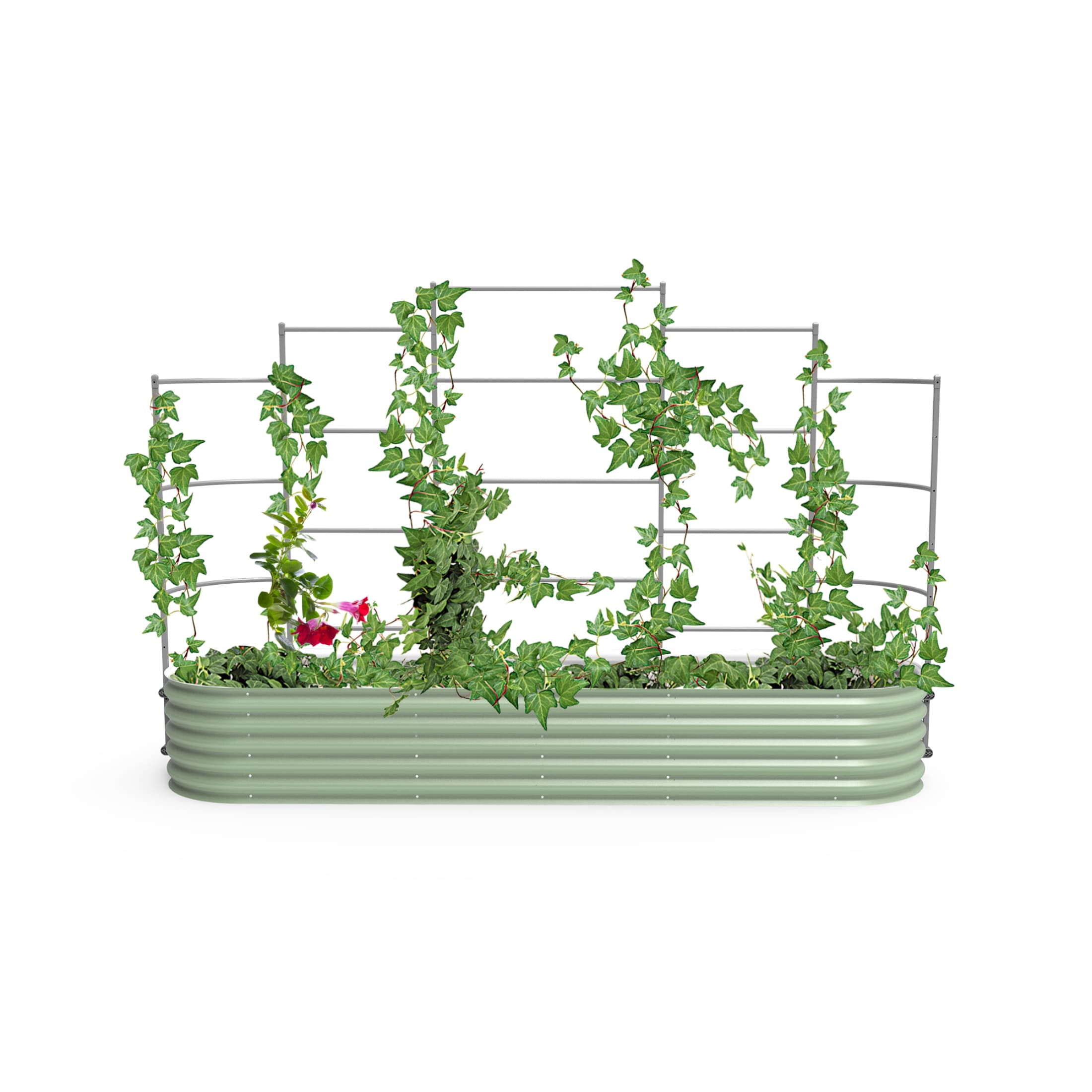 Vego Garden VWT 30-in W x 71-in H Powder Coated Steel Garden Trellis For Climbing Plants For Cucumbers For Roses For Tomatoes