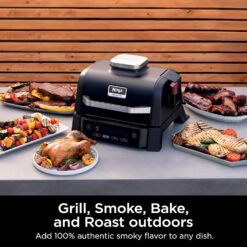 Ninja Woodfire Outdoor 4-in-1 Smoker OG301 1760 -Watt Black Electric Grill
