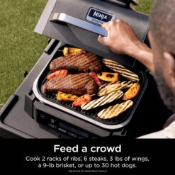 Ninja Woodfire Outdoor 4-in-1 Smoker OG301 1760 -Watt Black Electric Grill