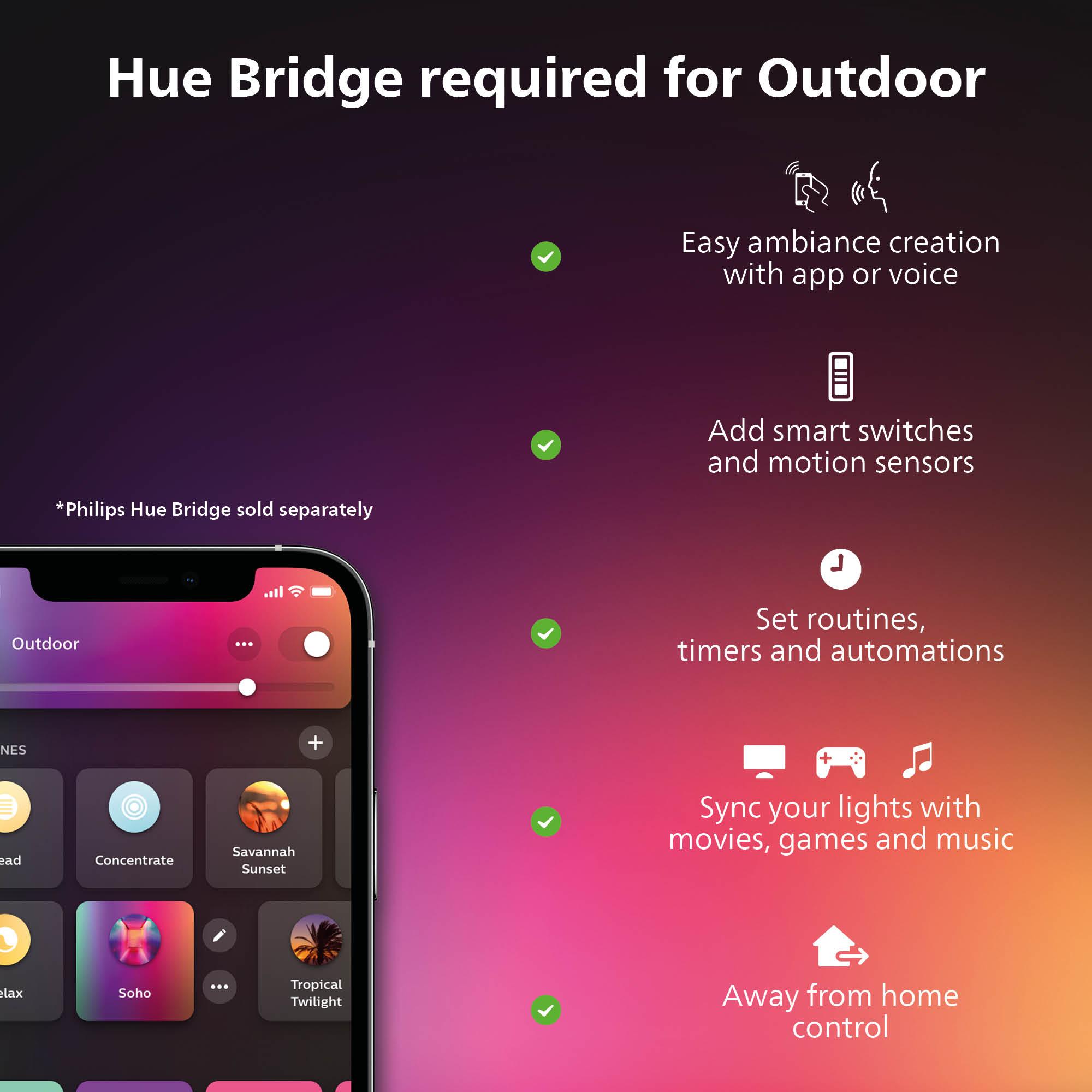 Philips Hue Lily Outdoor 8 -Watt Black Low voltage Plug-in Smart Compatible LED Spot light kit