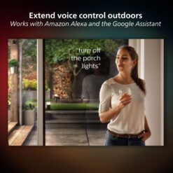 Philips Hue Lily Outdoor 8 -Watt Black Low voltage Plug-in Smart Compatible LED Spot light kit