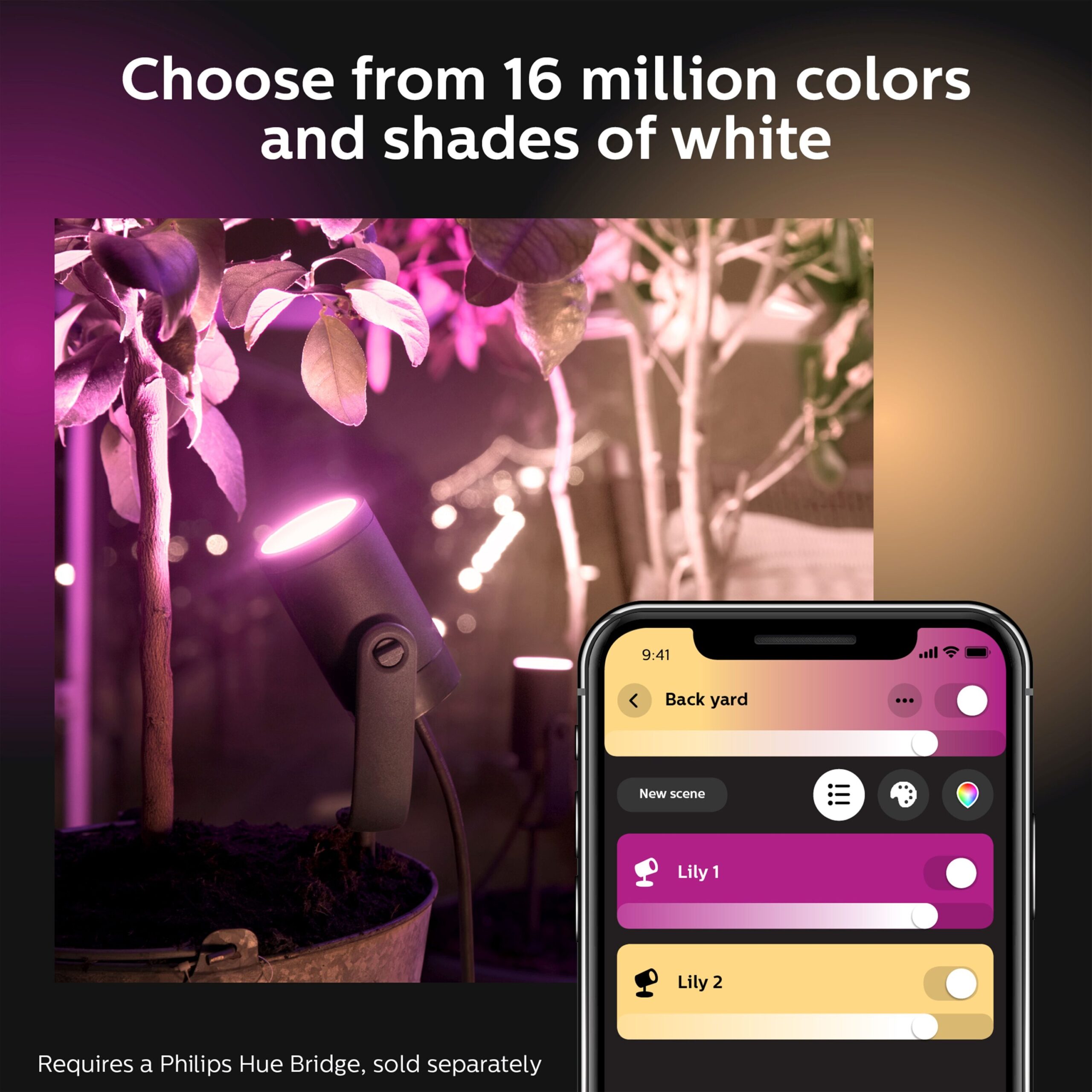 Philips Hue Lily Outdoor 8 -Watt Black Low voltage Plug-in Smart Compatible LED Spot light kit