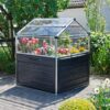 Canopia by Palram Plant Inn 4-ft L x 4-ft W x 4.8-ft H Gray/Clear Greenhouse Kit
