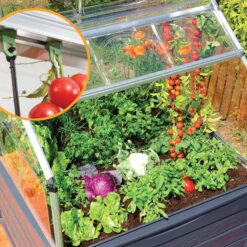 Canopia by Palram Plant Inn 4-ft L x 4-ft W x 4.8-ft H Gray/Clear Greenhouse Kit