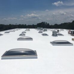 Countryman Coatings - Silicone Skylight Coating (Translucent) Protect and Waterproof Your Skylights - Allow Natural Light In - No Primer Required (1 Gallon)