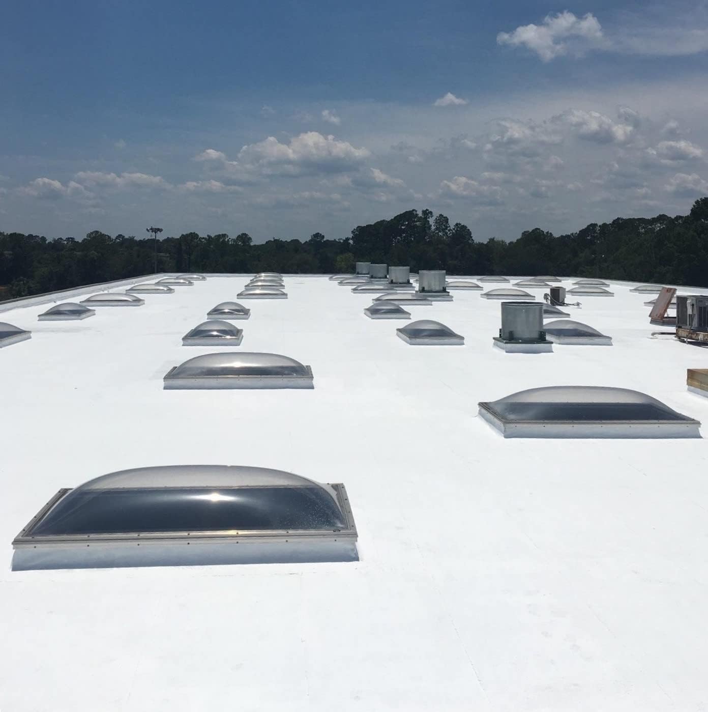 Countryman Coatings - Silicone Skylight Coating (Translucent) Protect and Waterproof Your Skylights - Allow Natural Light In - No Primer Required (1 Gallon)