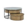 Signature Design by Ashley Fridley Nesting Coffee Table (Set of 2)