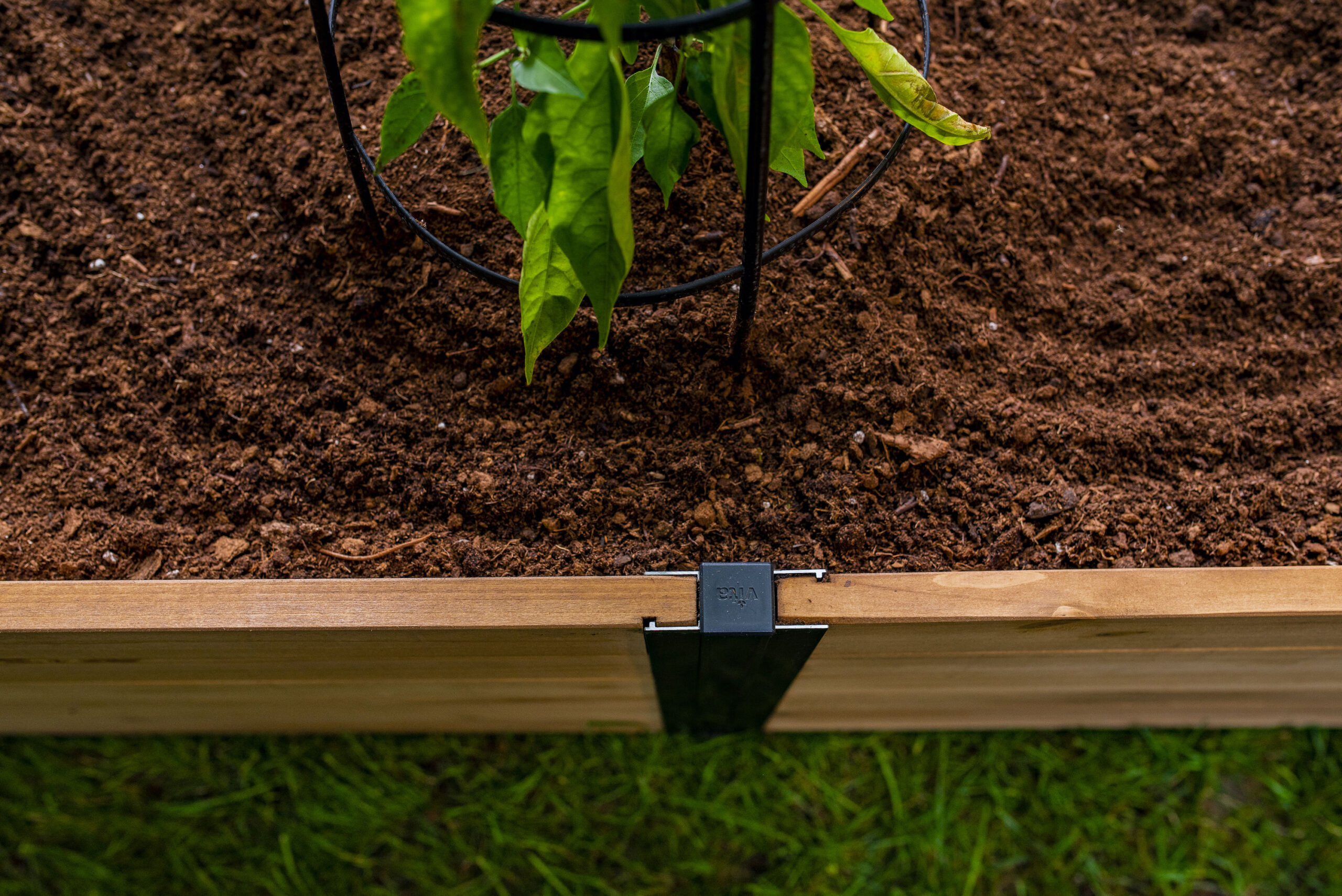 Vita 60.5-cu ft 72-in W x 72-in L x 22-in H Golden Brown Cedar Raised Garden Bed