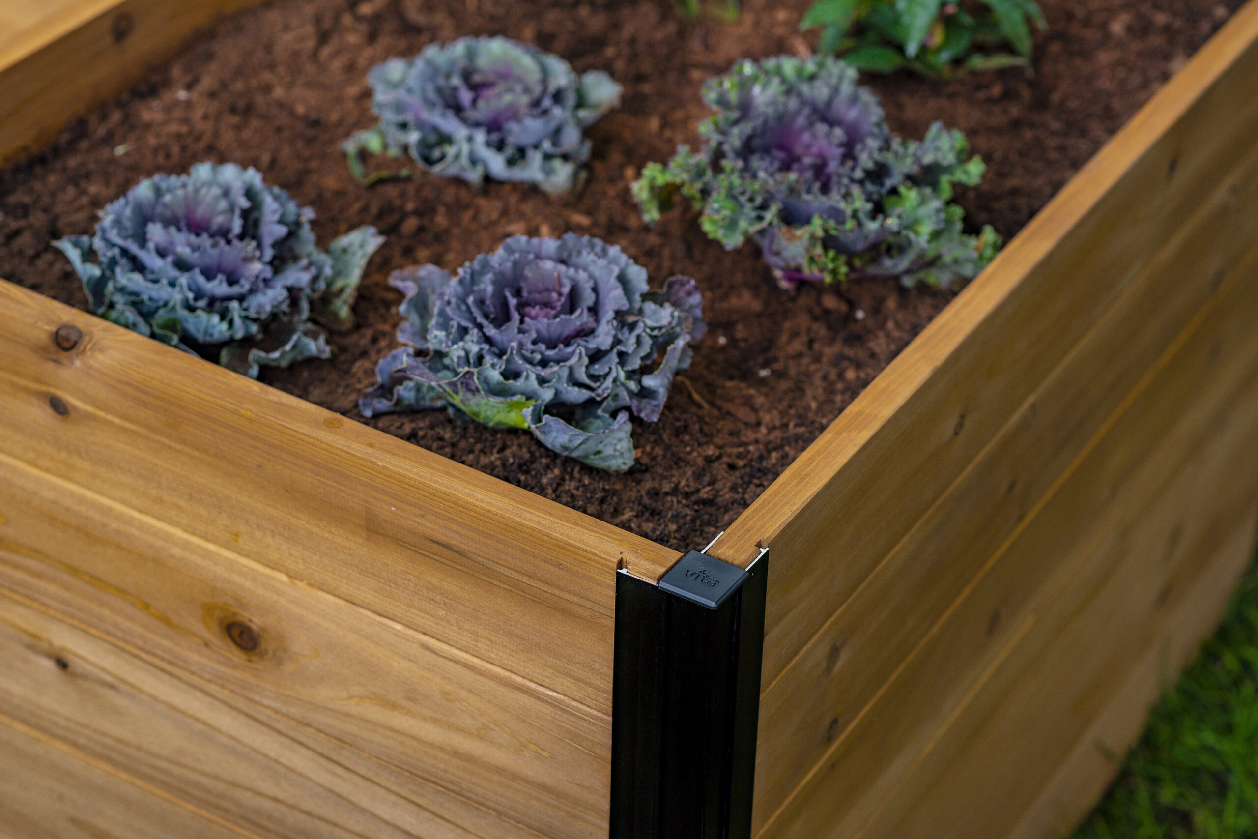 Vita 60.5-cu ft 72-in W x 72-in L x 22-in H Golden Brown Cedar Raised Garden Bed