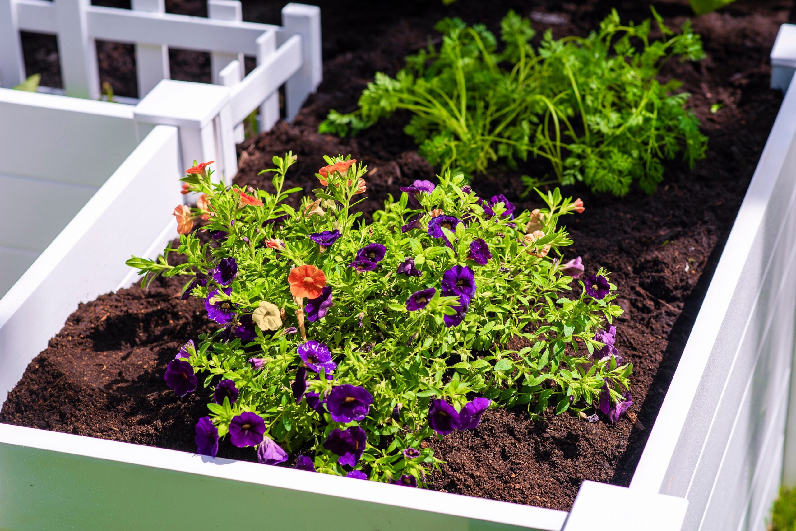 Vita 50-cu ft 72-in W x 72-in L x 22-in H Elevated White Vinyl Raised Garden Bed